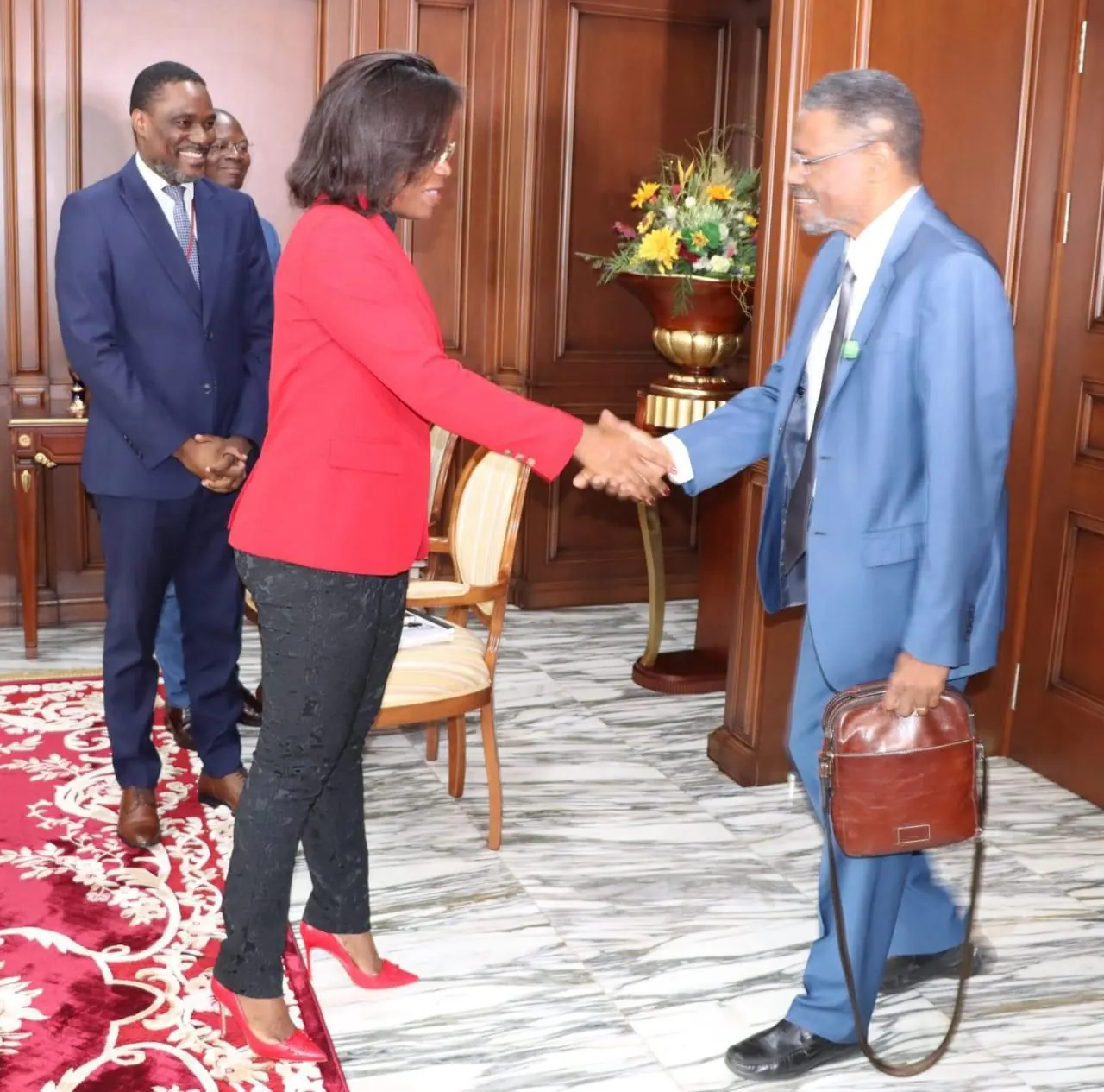 Fotografia: Presidente do Tribunal Constitucional recebe delegação do Bloco Democrático