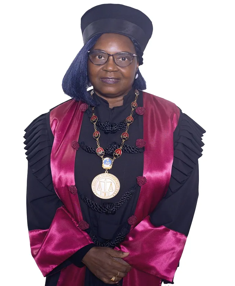 Josefa Antónia dos Santos Neto