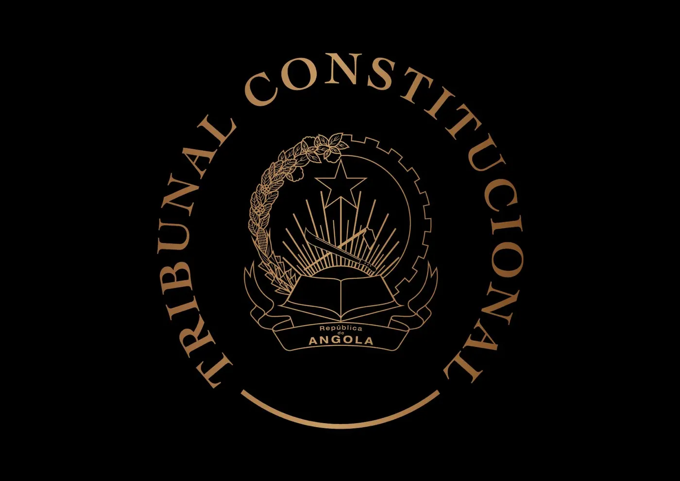 Fotografia: Tribunal Constitucional admite novo partido político